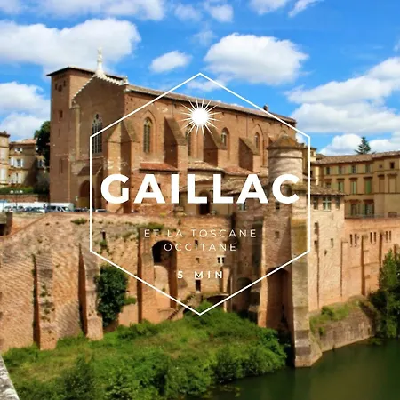 Superbe Appart Cosy, Balcon, Arrivee Autonome Gaillac Exterior foto